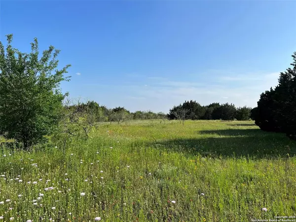 Jonesboro, TX 76538,LOT 17 PR 16020