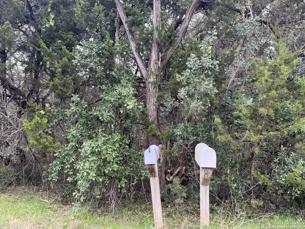 364 Lake Park, Canyon Lake, TX 78133