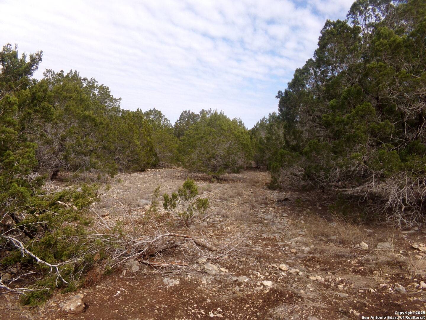 Uvalde, TX 78801,5 Pvt rd 2560