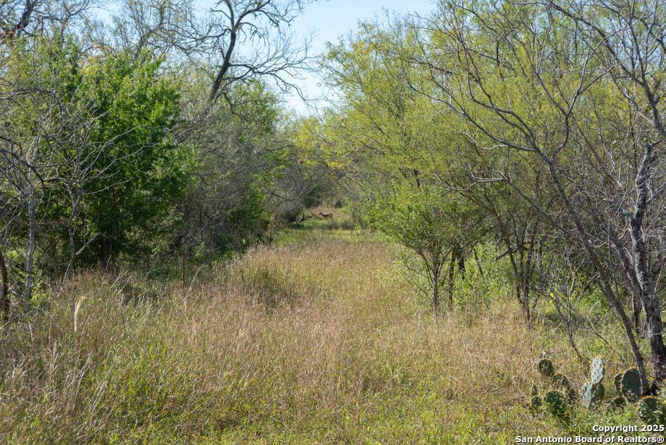 Kenedy, TX 78119,TBD County Road 138