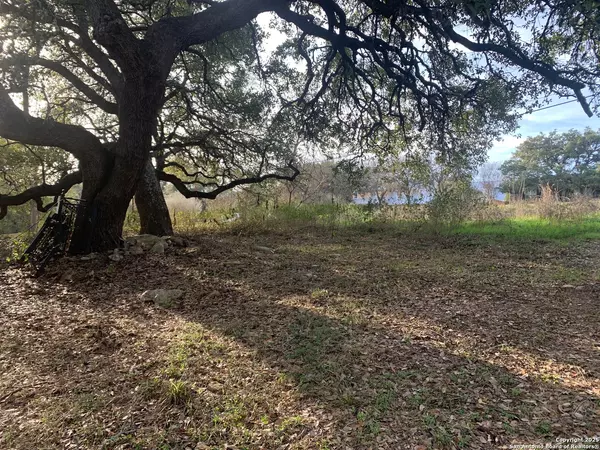 New Braunfels, TX 78132,2675 Country Ledge