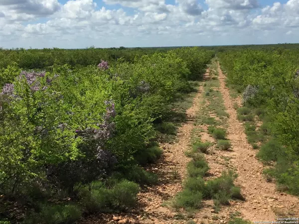 Moore, TX 78057,TBD County Road 2410