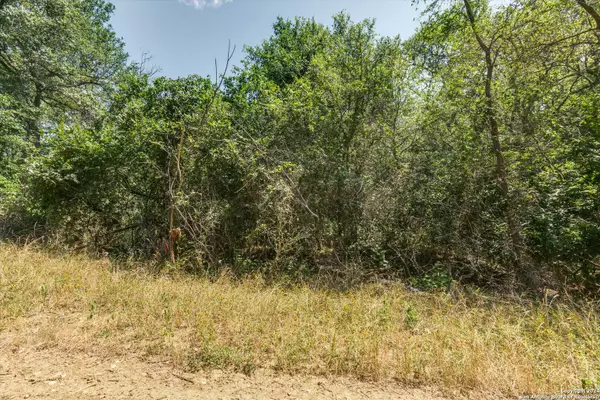 Bastrop, TX 78602,LOT 649 Kaukonahua Ln