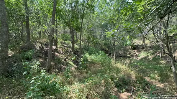 Bastrop, TX 78602,LOT 649 Kaukonahua Ln