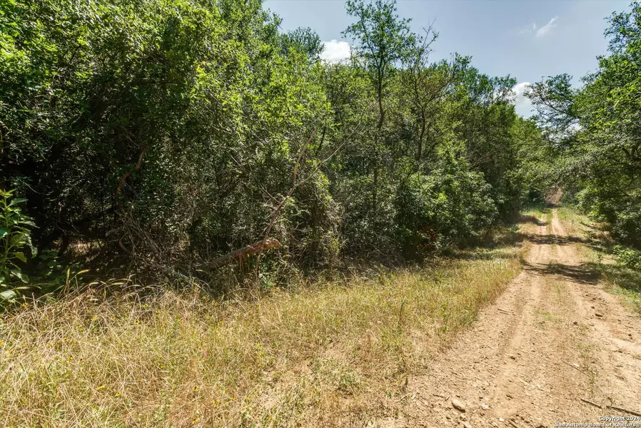 LOT 650 Kaukonahua Ln, Bastrop, TX 78602