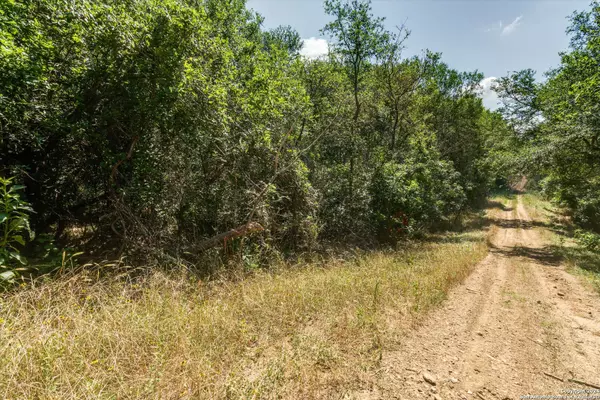 Bastrop, TX 78602,LOT 650 Kaukonahua Ln