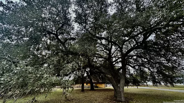 Bandera, TX 78003,000 Tawny Oak
