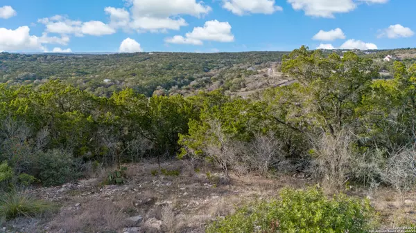 Mico, TX 78056,LOT 7, PR 2773