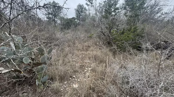 San Antonio, TX 78239,LOT 3 Earhart Ln