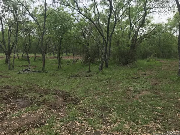 Bigfoot, TX 78005,946 county road 2863