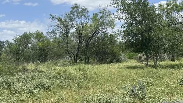 Bigfoot, TX 78005,946 county road 2863