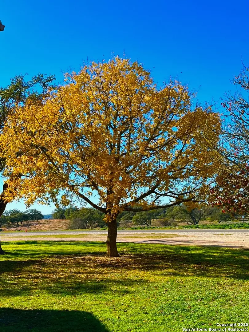 Harper, TX 78631,135 Shapen Springs