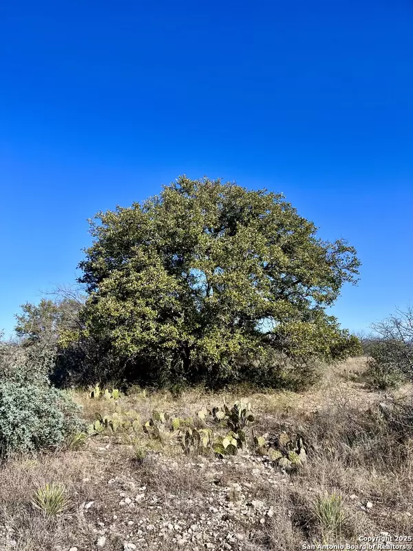 Brady, TX 76825,200 Axis Spur