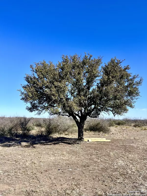 Brady, TX 76825,200 Axis Spur