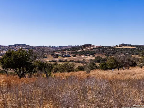 Blanco, TX 78606,717 Scenic Hills