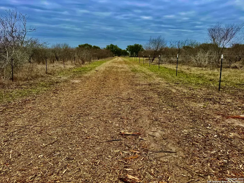 TBD FM 2441, Beeville, TX 78102