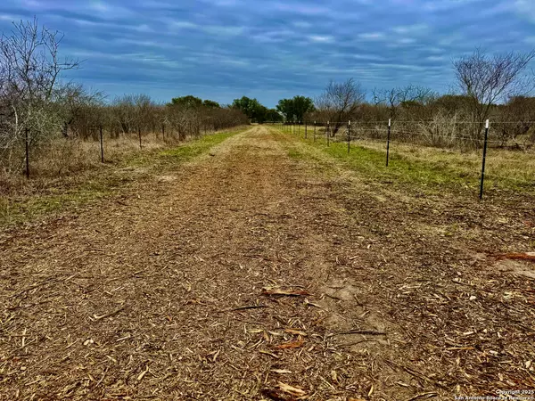 TBD FM 2441, Beeville, TX 78102