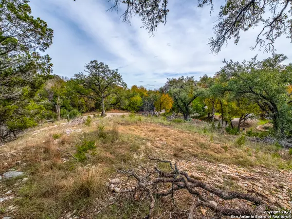 Wimberley, TX 78676,112 Woodacre Dr.