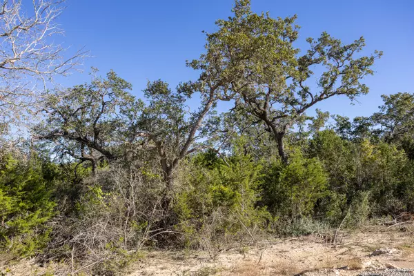 Boerne, TX 78006,BLOCK 1, LOT 5 Easy Money