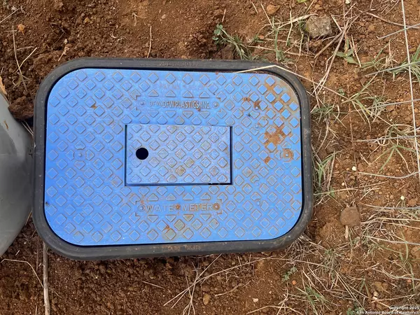 Pleasanton, TX 78064,20 Brite