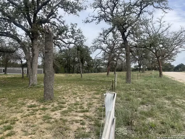 Floresville, TX 78114,142 Lost Springs