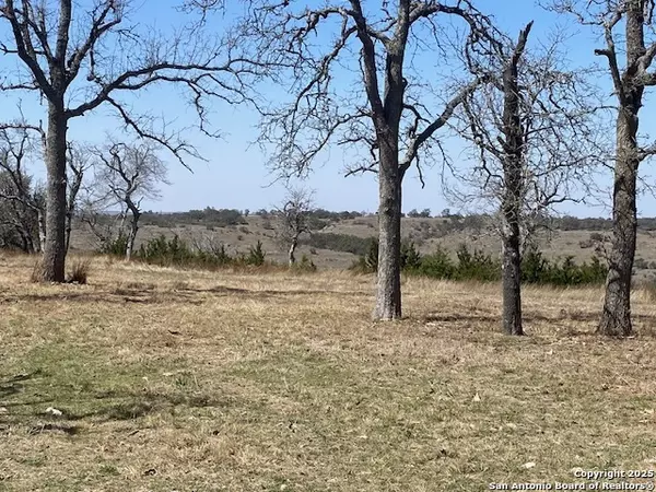 Blanco, TX 78606,LOT 207 majestic hills