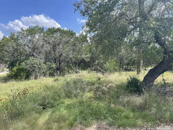 Spring Branch, TX 78070,330 rayner ranch