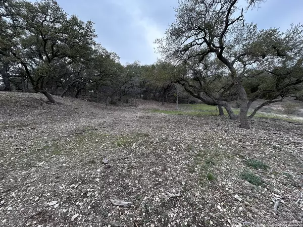 New Braunfels, TX 78132,2209 Deer Run