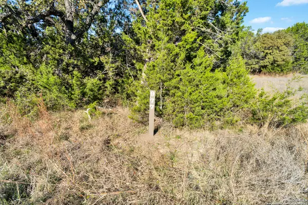 Canyon Lake, TX 78133,977 Malbec