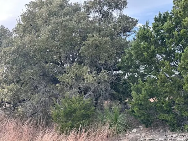 Spring Branch, TX 78070,145 Finch