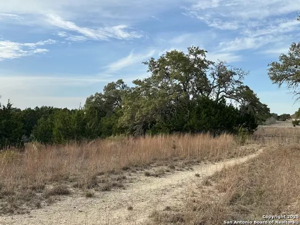Spring Branch, TX 78070,145 Finch