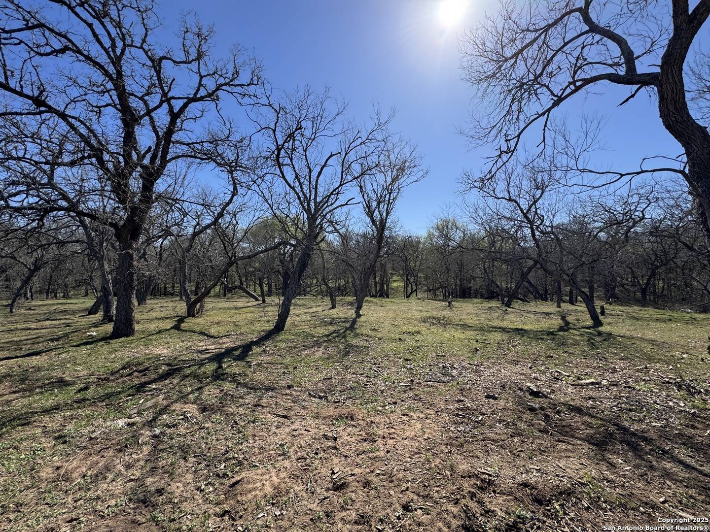 Seguin, TX 78155,11660 FM 466
