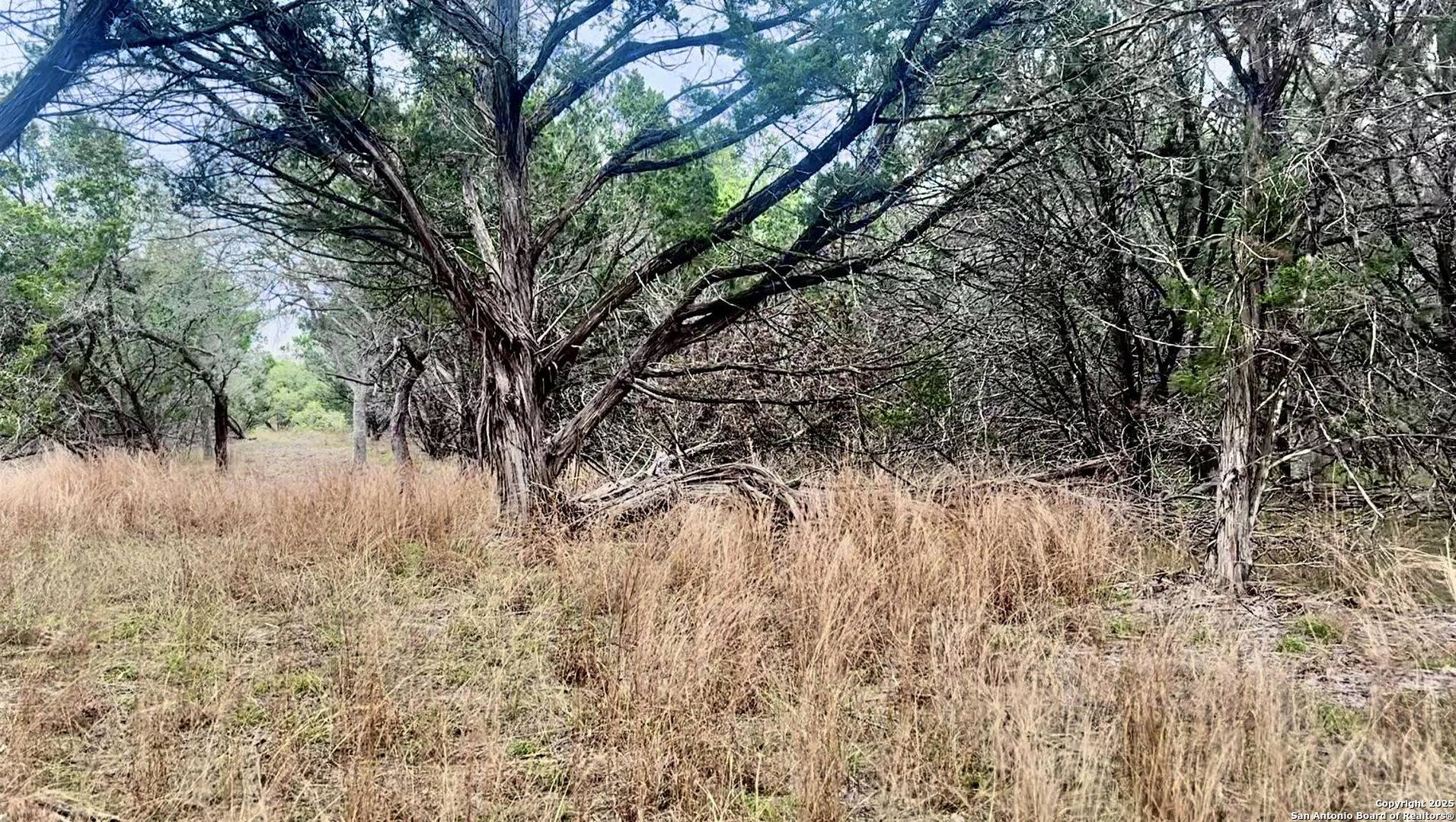 Center Point, TX 78010,0 Creekside At Camp Verde Phase 2 Lot 151