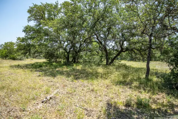 Center Point, TX 78010,154 Steel Creek Crest