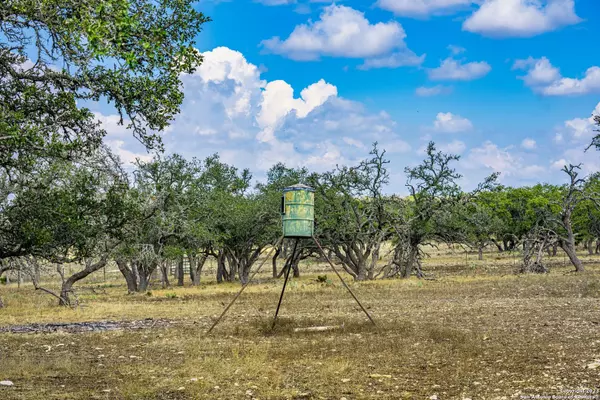 Harper, TX 78631,436 Stevens Ranch Rd