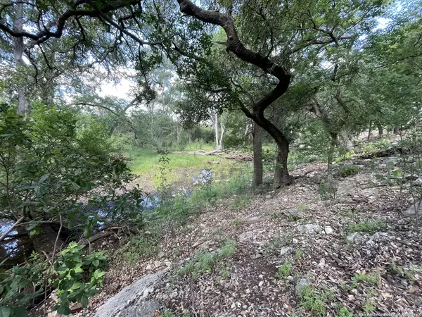 San Antonio, TX 78257,24635 Cliff Line