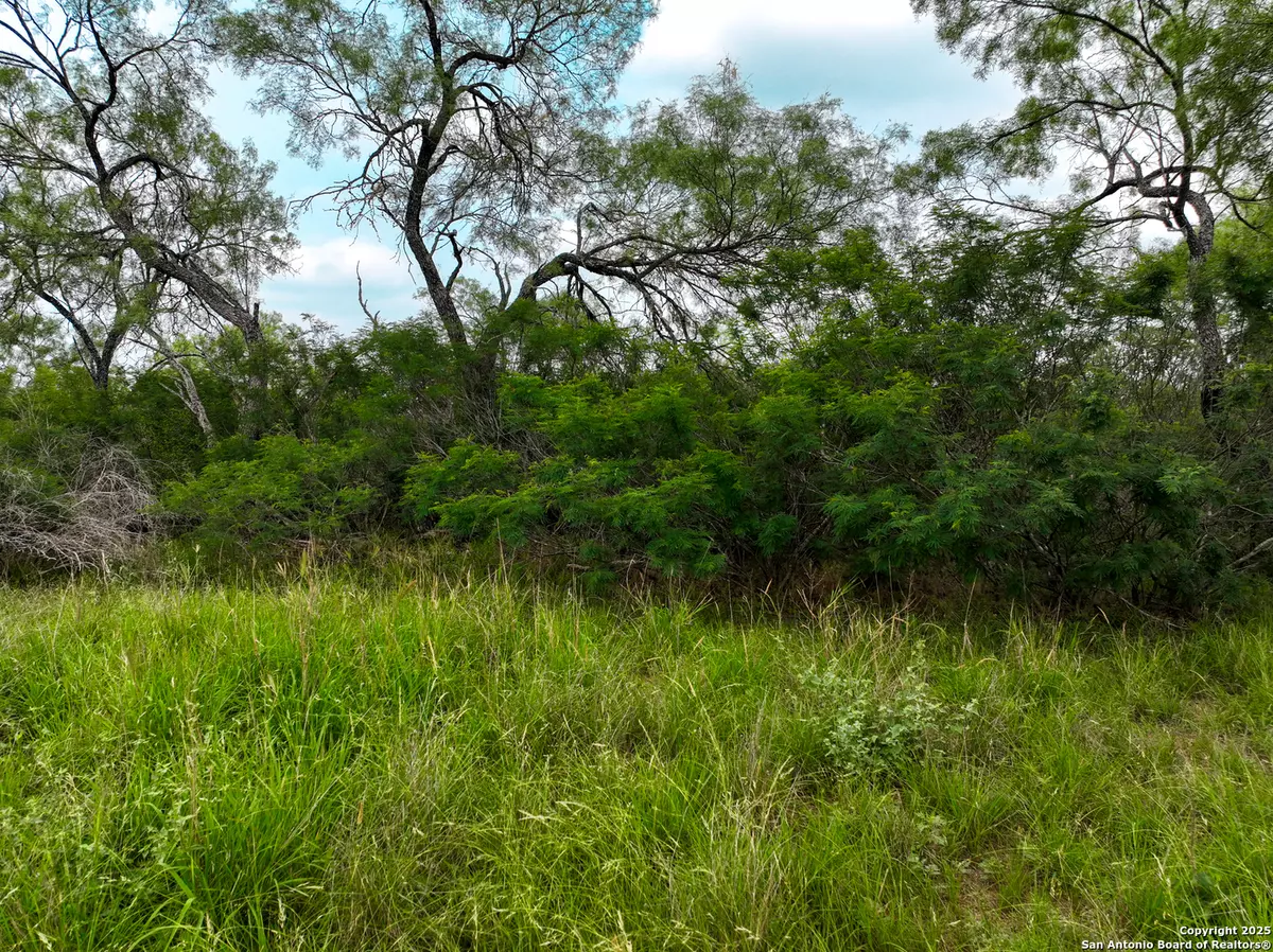 Dhanis, TX 78850,0000 Count Road 5232
