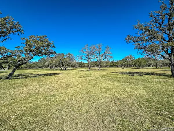 Spring Branch, TX 78070,582 Whispering Oaks