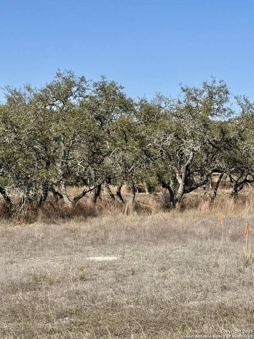 Bulverde, TX 78163,732 Sharp Springs