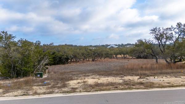 732 Sharp Springs, Bulverde, TX 78163