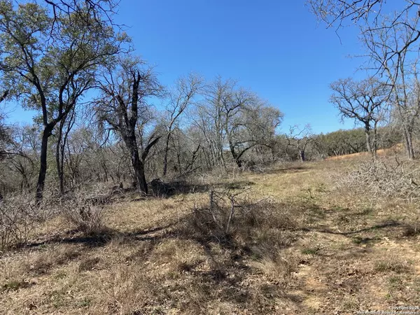 La Vernia, TX 78121,246 Timber