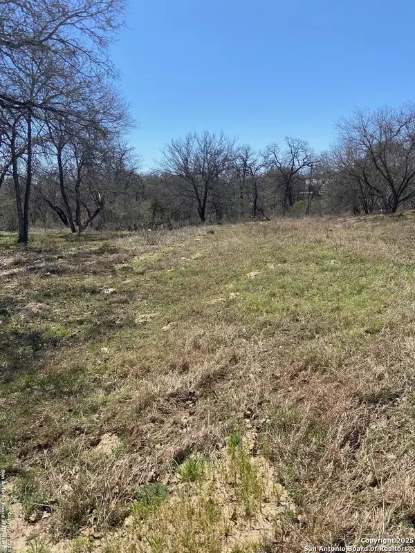 La Vernia, TX 78121,246 Timber
