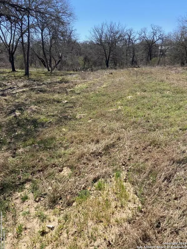 La Vernia, TX 78121,246 Timber