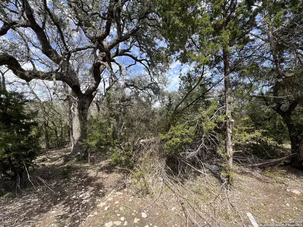 Spring Branch, TX 78070,1337 Valley Springs Rd