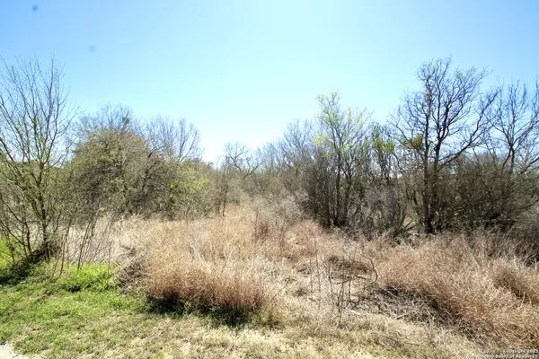 San Antonio, TX 78245,13210 Roundup Pass