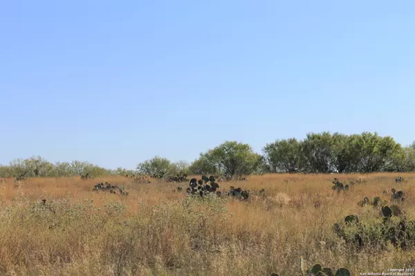 Charlotte, TX 78011,10240 State Hwy 173