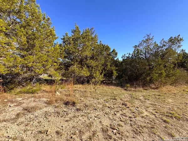 Canyon Lake, TX 78133,1100 Diamondhead
