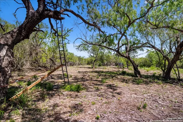 00 Cr 175, Sandia, TX 78283