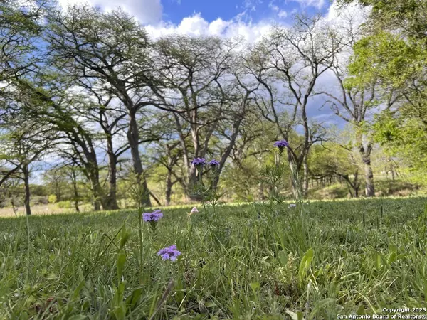 Utopia, TX 78884,82 Private Rd 3800   FM 187 S