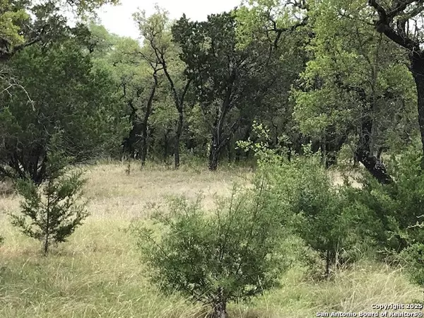 Rio Frio, TX 78879,237 Ridge Spur